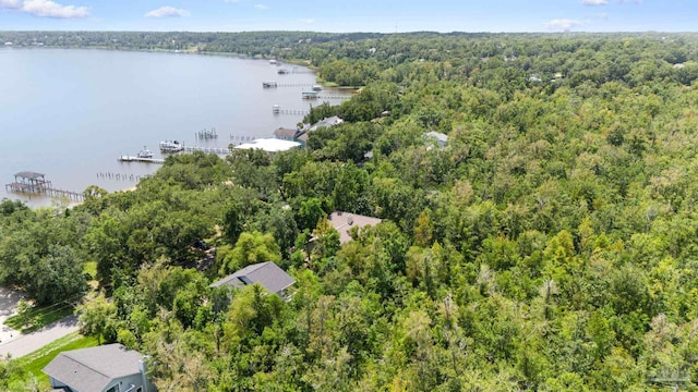 aerial view with a view of trees and a water view