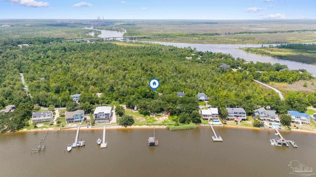 aerial view with a water view and a view of trees