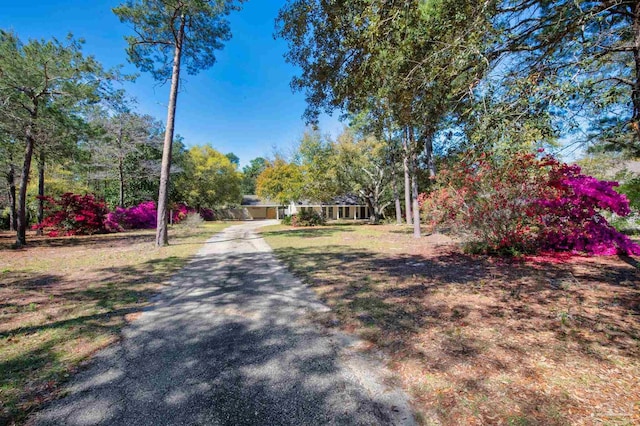 view of road featuring driveway