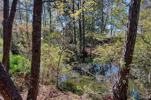 view of landscape with a forest view