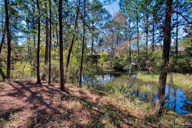 view of nature with a water view and a forest view