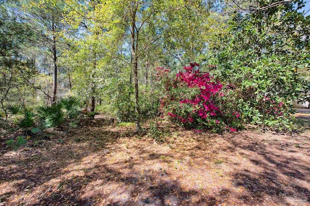 view of landscape with a wooded view