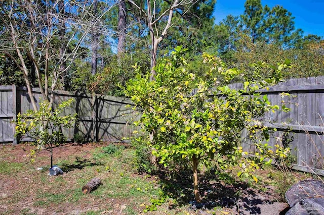 view of yard featuring a fenced backyard