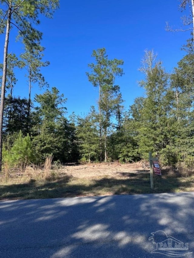 LOT14 Steele Meadow Dr, Pace FL, 32571 land for sale