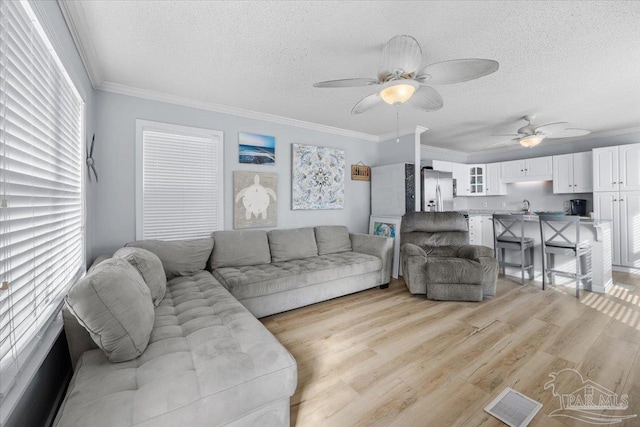 living room featuring crown molding, sink, light hardwood / wood-style floors, and a textured ceiling