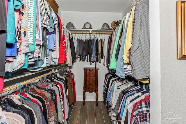 3160 Mountain Laurel Trl, Cantonment, FL 32533 - spacious closet with wood finished floors