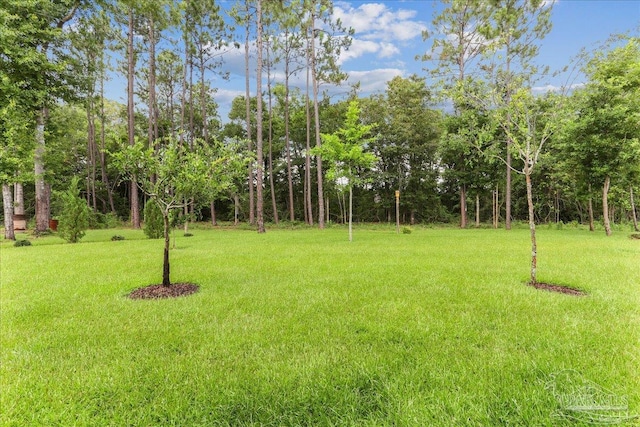 3160 Mountain Laurel Trl, Cantonment, FL 32533 - view of grassy yard