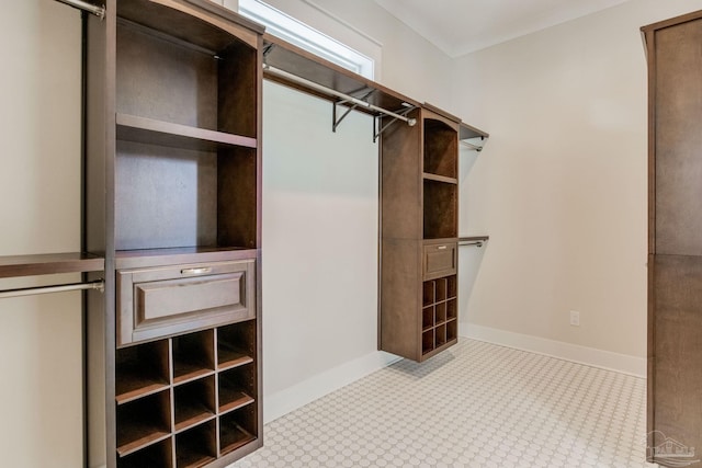 walk in closet with light colored carpet