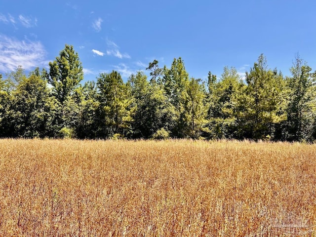LOT56 Mineral Springs Rd, Jay, FL 32565