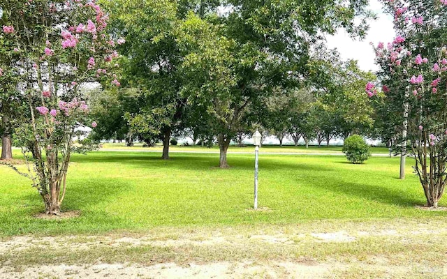 surrounding community featuring a lawn