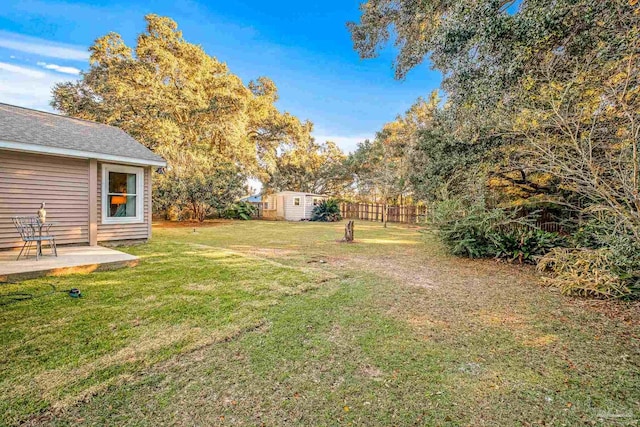 view of yard with a storage unit and a patio area