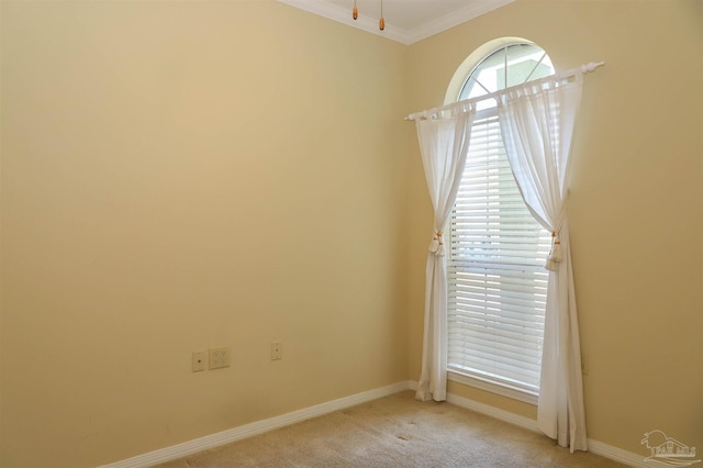 1200 Willowood Ln, Gulf Breeze, FL 32563 - empty room with crown molding, baseboards, and light carpet