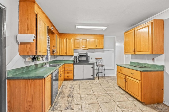 kitchen with stainless steel dishwasher and sink