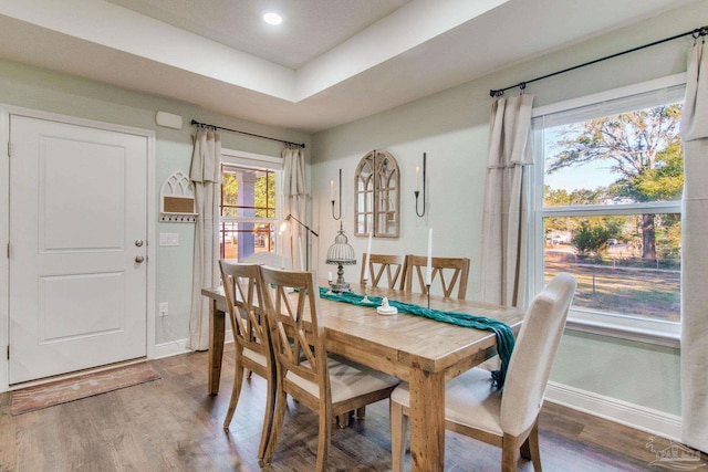 dining room with a tray ceiling, plenty of natural light, and hardwood / wood-style flooring