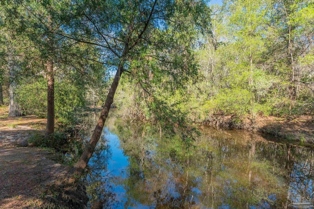 4900 Shell Rd, Milton, FL 32583 - view of landscape with a forest view and a water view
