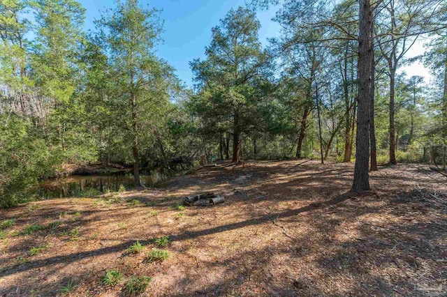 4900 Shell Rd, Milton, FL 32583 - view of landscape featuring a wooded view