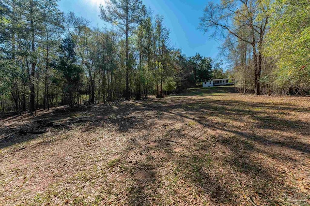 4900 Shell Rd, Milton, FL 32583 - view of yard with a wooded view
