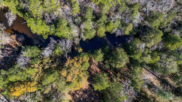 4900 Shell Rd, Milton, FL 32583 - bird's eye view with a wooded view