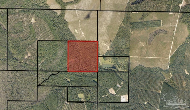 00500 Wayne Bowman Rd, Jay FL, 32565 land for sale