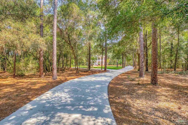 view of community featuring a wooded view and driveway