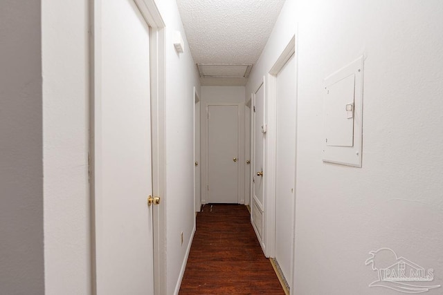 hall with dark hardwood / wood-style flooring, a textured ceiling, and electric panel