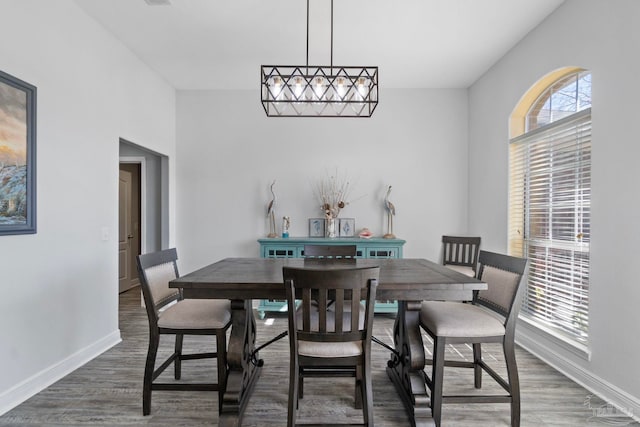 dining room with dark hardwood / wood-style floors