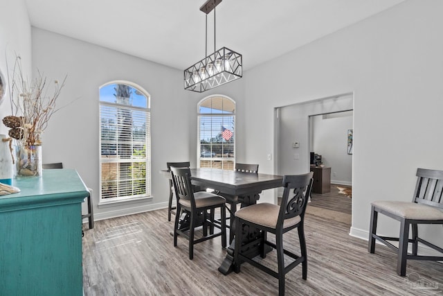 dining room featuring a notable chandelier and hardwood / wood-style flooring