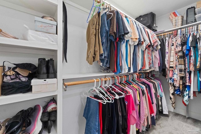 spacious closet featuring carpet floors