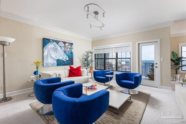 carpeted living room featuring crown molding