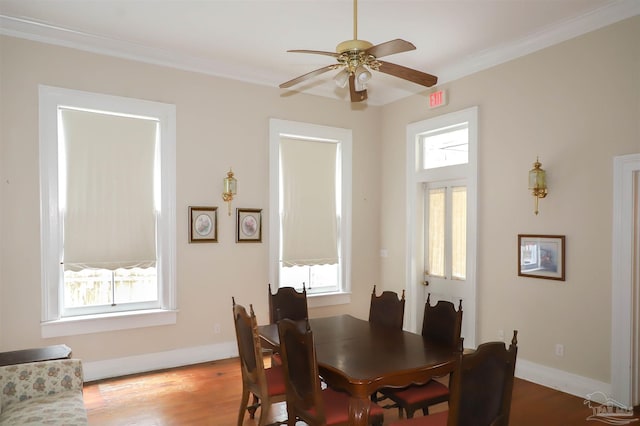 dining room with crown molding, ceiling fan, and wood-type flooring