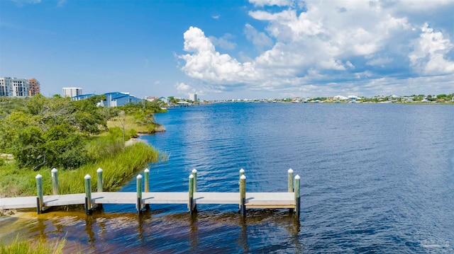 dock area with a water view