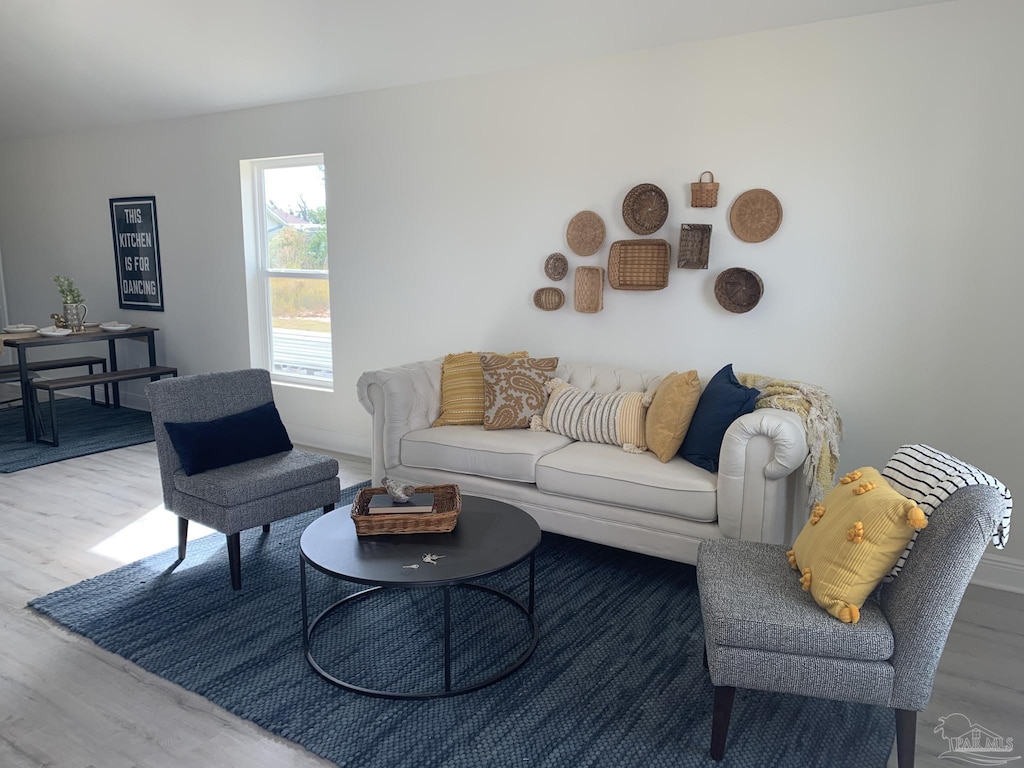 living room featuring wood-type flooring