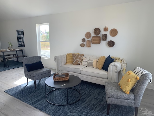 living room featuring wood-type flooring