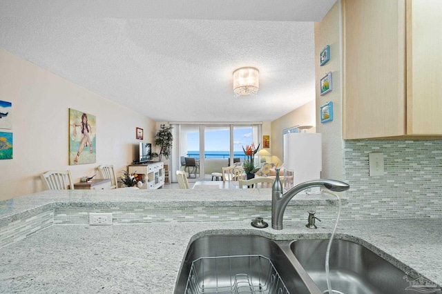 13753 Perdido Key Dr Unit 504, Perdido Key, FL 32507 - kitchen featuring a sink, tasteful backsplash, a textured ceiling, and light stone counters