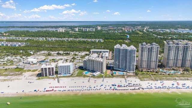 13753 Perdido Key Dr Unit 504, Perdido Key, FL 32507 - aerial view of expansive beach