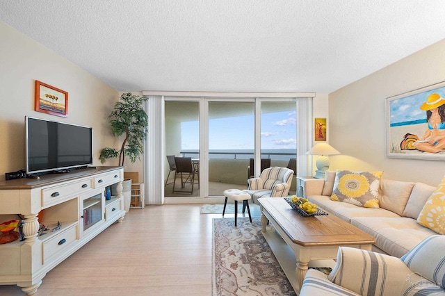 13753 Perdido Key Dr Unit 504, Perdido Key, FL 32507 - living room featuring a textured ceiling, light wood-style floors, and expansive windows