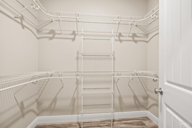 spacious closet featuring wood-type flooring