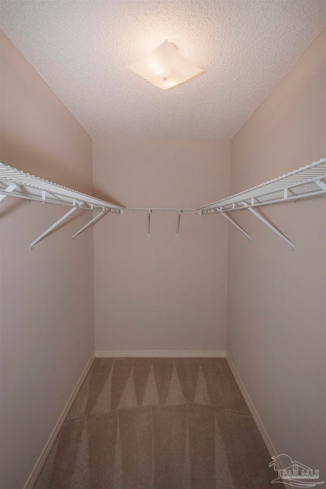 spacious closet with carpet floors