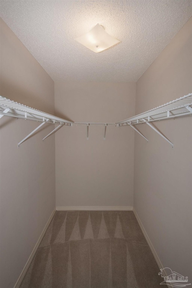 4416 Bellwood Cir, Pace, FL 32571 - spacious closet featuring carpet flooring