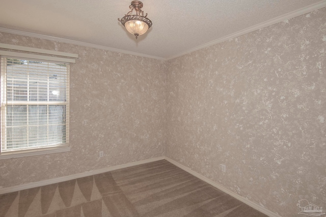 spare room featuring carpet, crown molding, and a textured ceiling