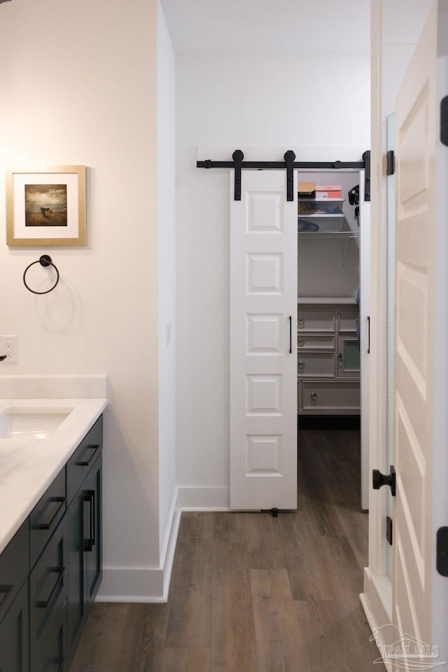 full bathroom featuring baseboards, vanity, wood finished floors, and a spacious closet