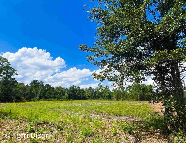 Listing photo 3 for Overpass Rd Unit Parcel A, Milton FL 32583