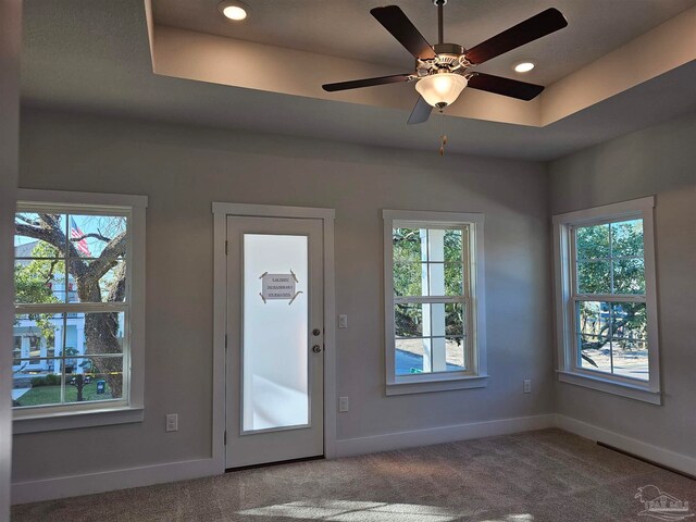 entryway featuring a tray ceiling, carpet, and a healthy amount of sunlight