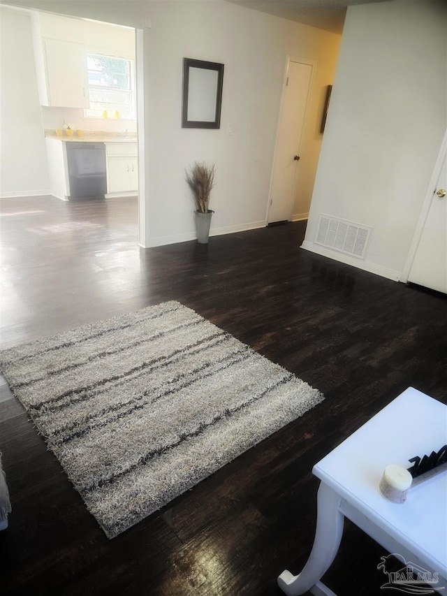 interior space featuring dark wood-type flooring and sink