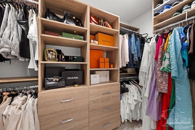 view of spacious closet