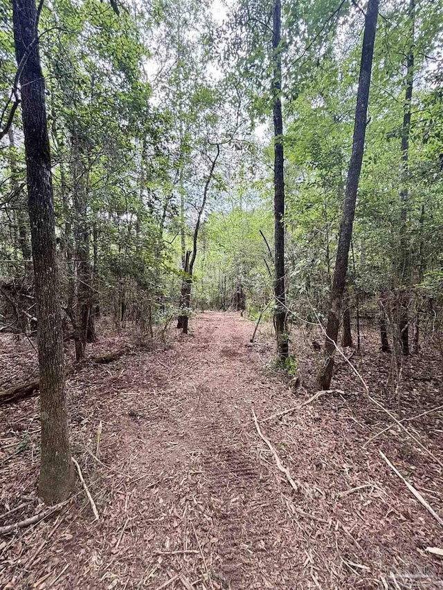 200 Cotton Creek Rd, Mcdavid, FL 32568