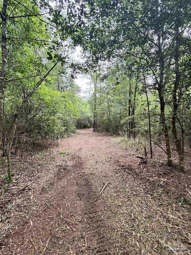 200 Cotton Creek Rd, Mcdavid, FL 32568