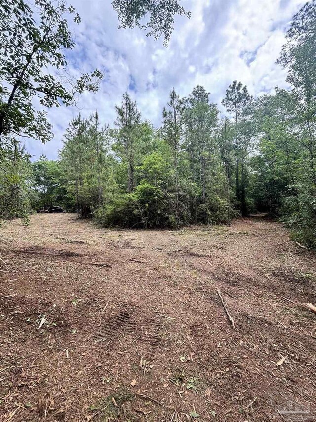 200 Cotton Creek Rd, Mcdavid, FL 32568