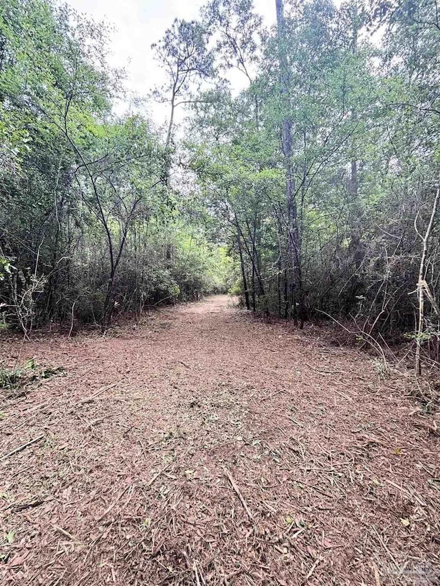 200 Cotton Creek Rd, Mcdavid, FL 32568