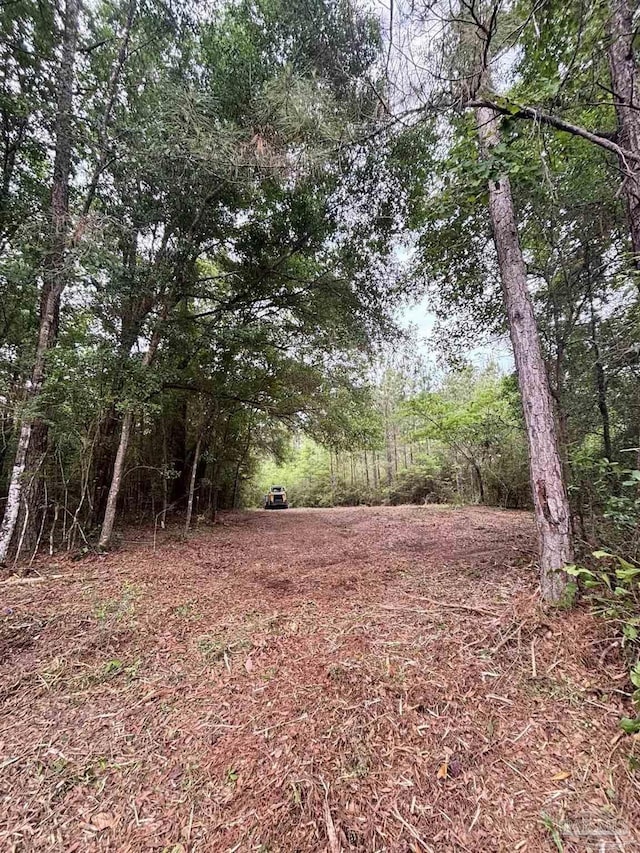 200 Cotton Creek Rd, Mcdavid, FL 32568